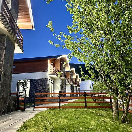 Villa Mtashi Бакуріані Екстер'єр фото
