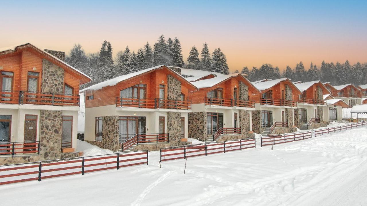 Villa Mtashi Бакуріані Екстер'єр фото