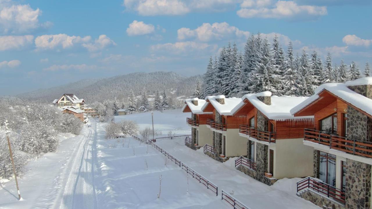 Villa Mtashi Бакуріані Екстер'єр фото
