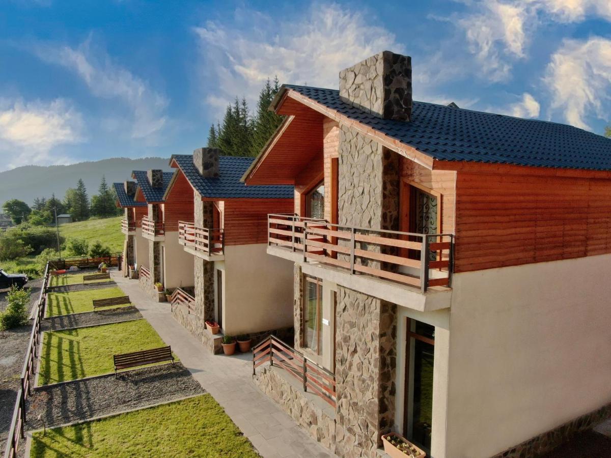 Villa Mtashi Бакуріані Екстер'єр фото