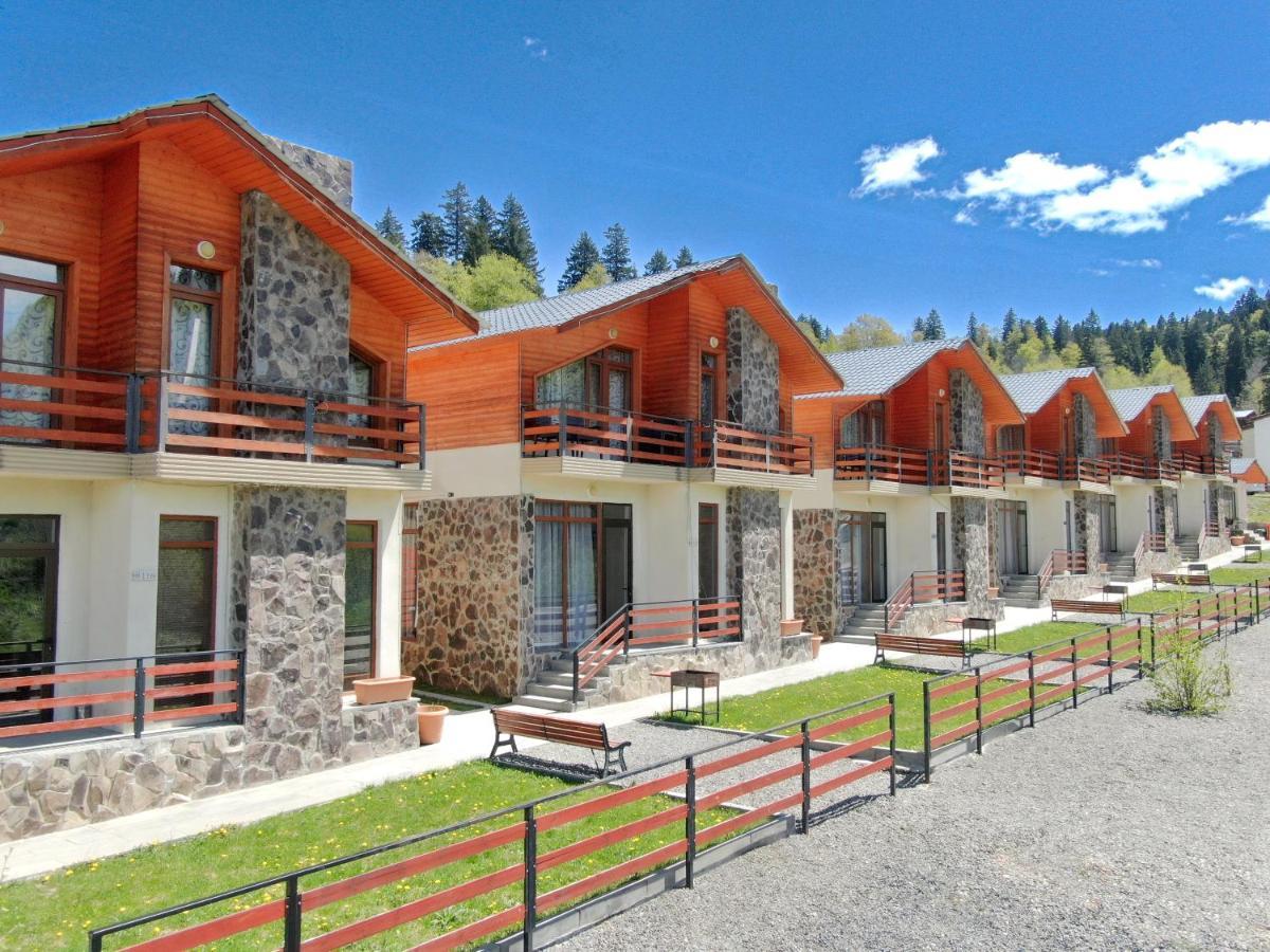 Villa Mtashi Бакуріані Екстер'єр фото