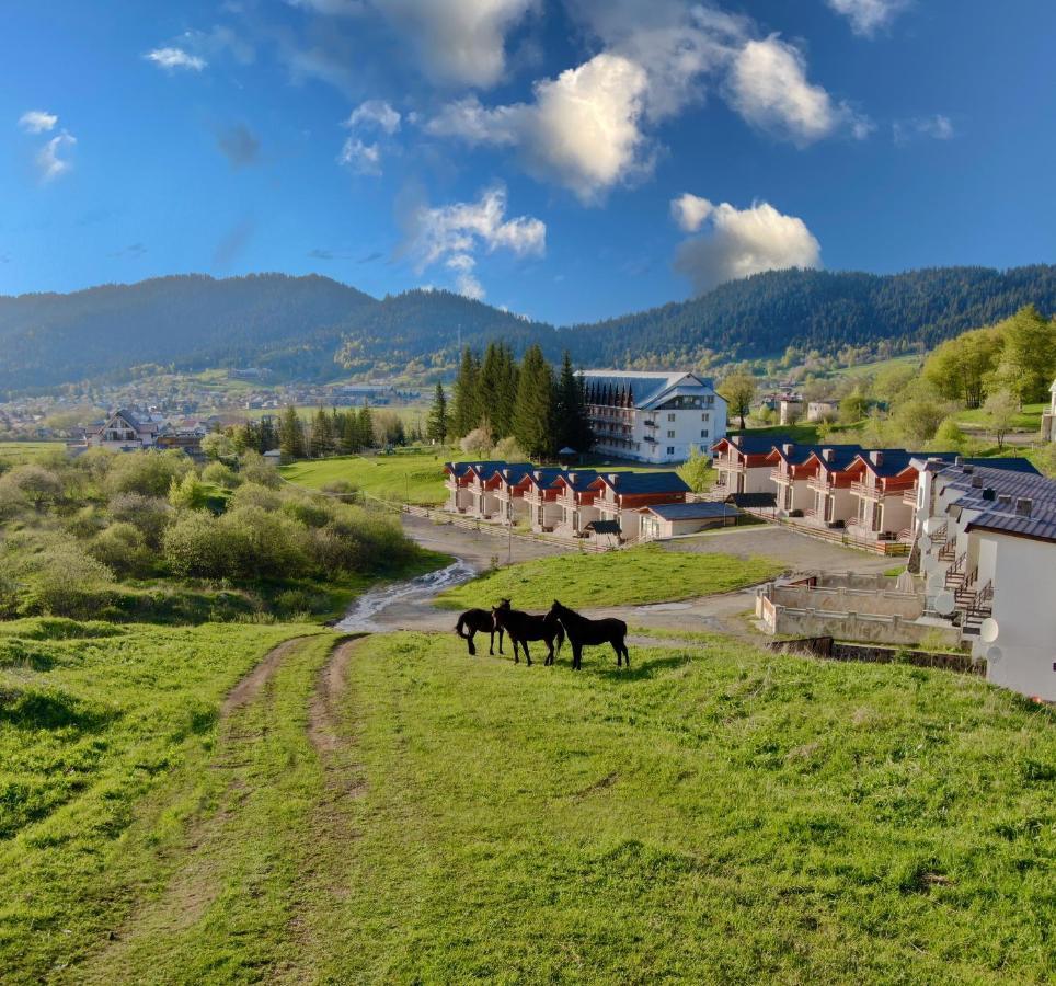 Villa Mtashi Бакуріані Екстер'єр фото