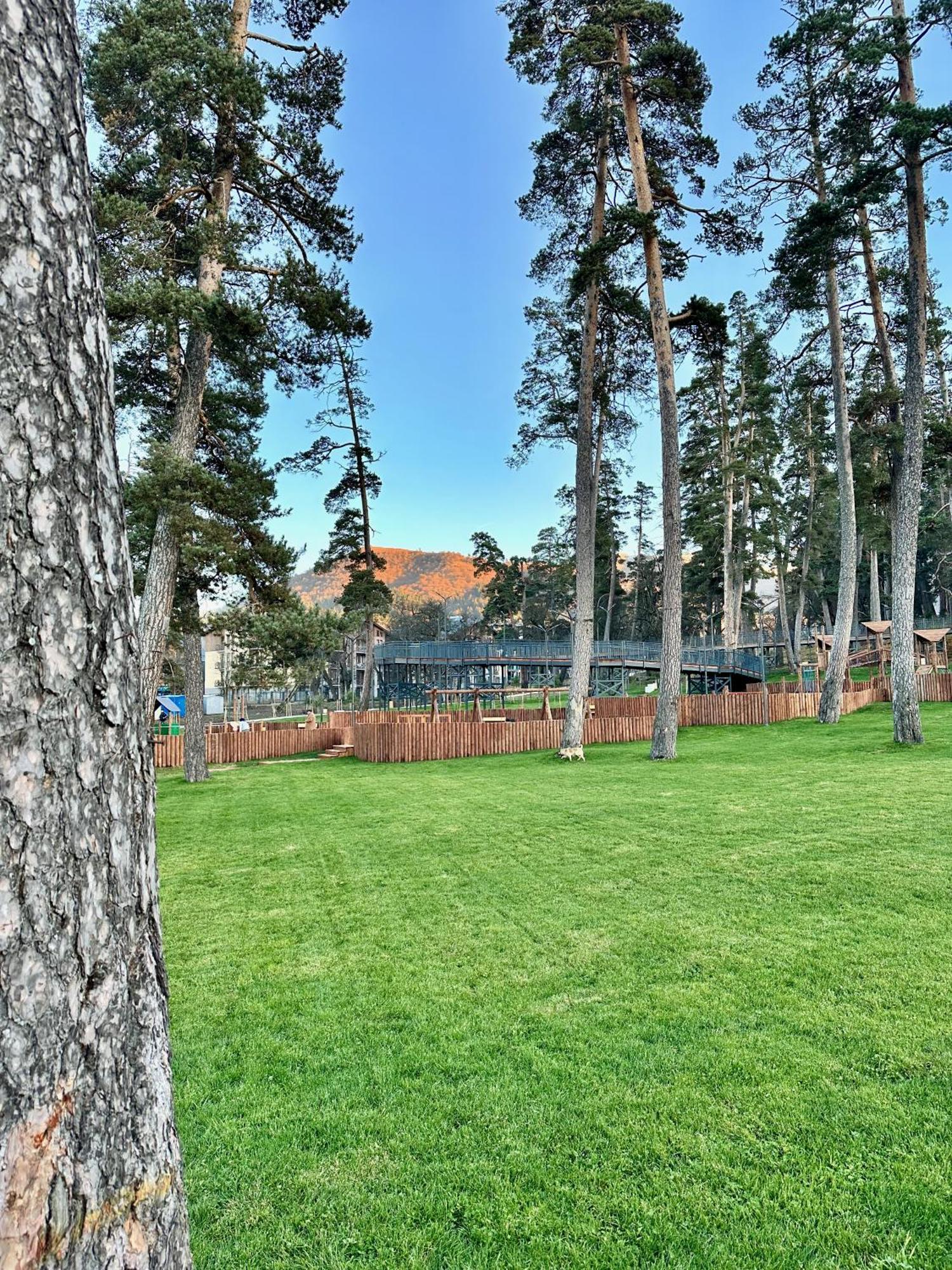 Villa Mtashi Бакуріані Екстер'єр фото