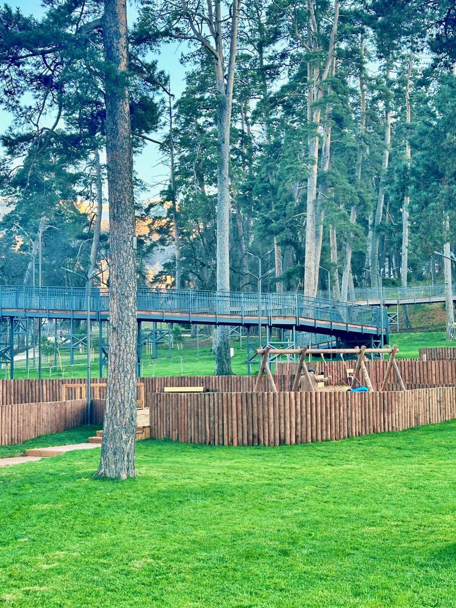 Villa Mtashi Бакуріані Екстер'єр фото