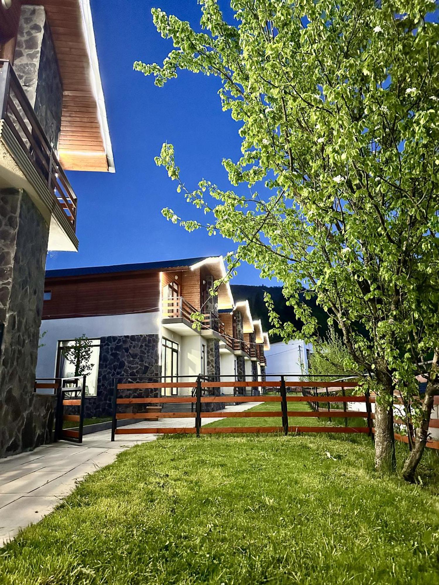 Villa Mtashi Бакуріані Екстер'єр фото