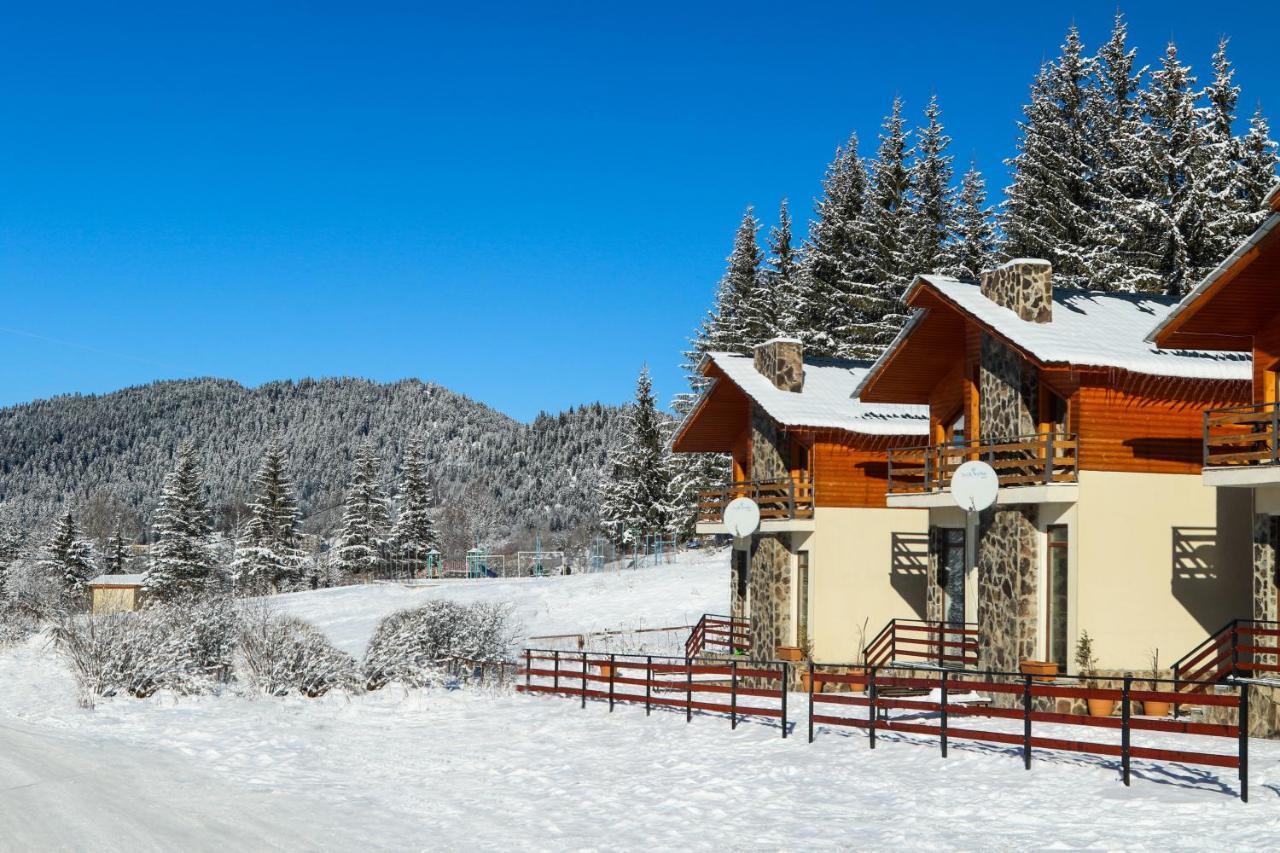 Villa Mtashi Бакуріані Екстер'єр фото